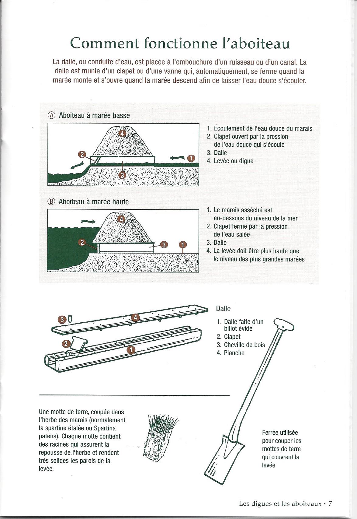 Aboiteau8Scan